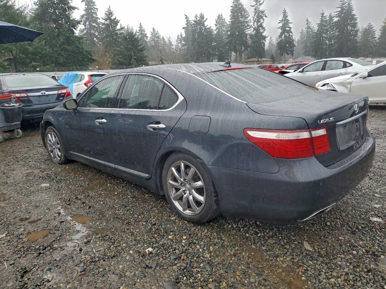 2007 LEXUS LS460