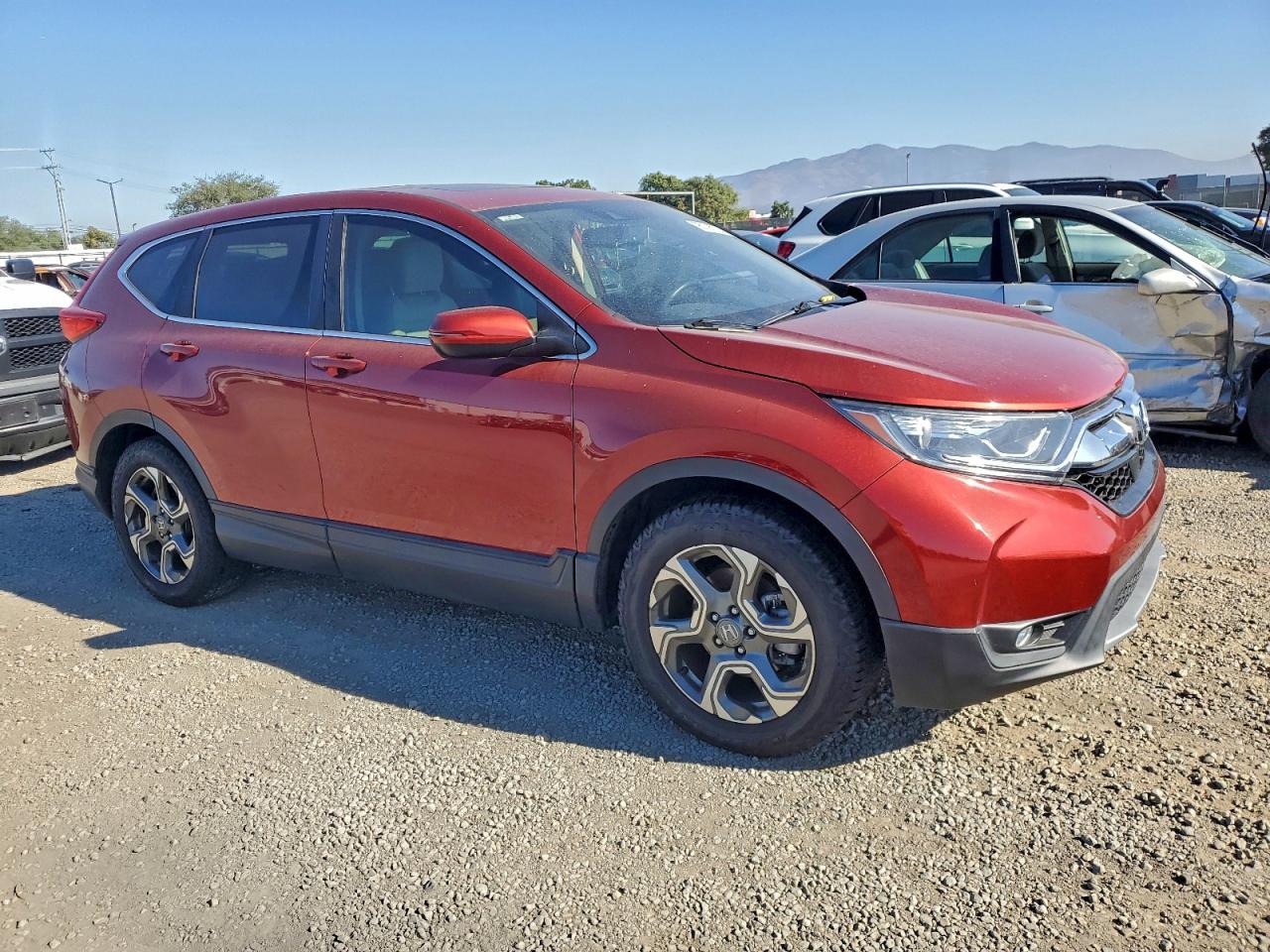 2019 HONDA CRV