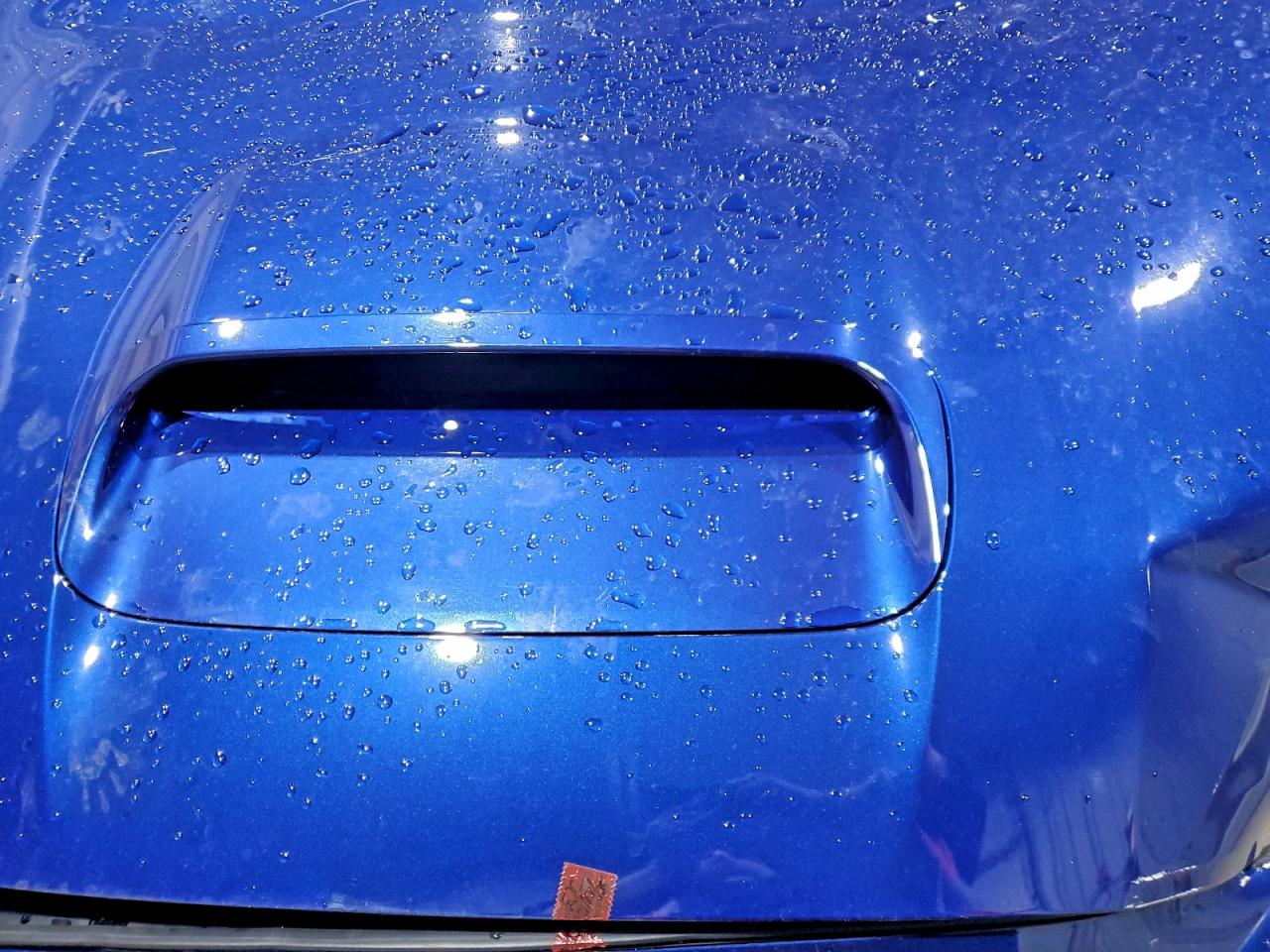 2019 SUBARU WRX