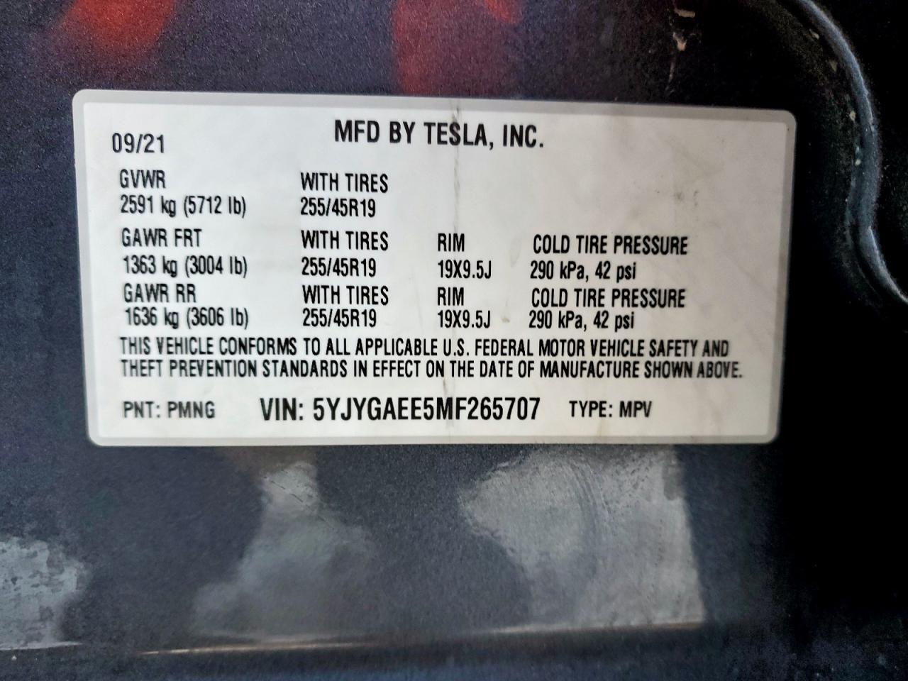 2021 TESLA MODEL Y