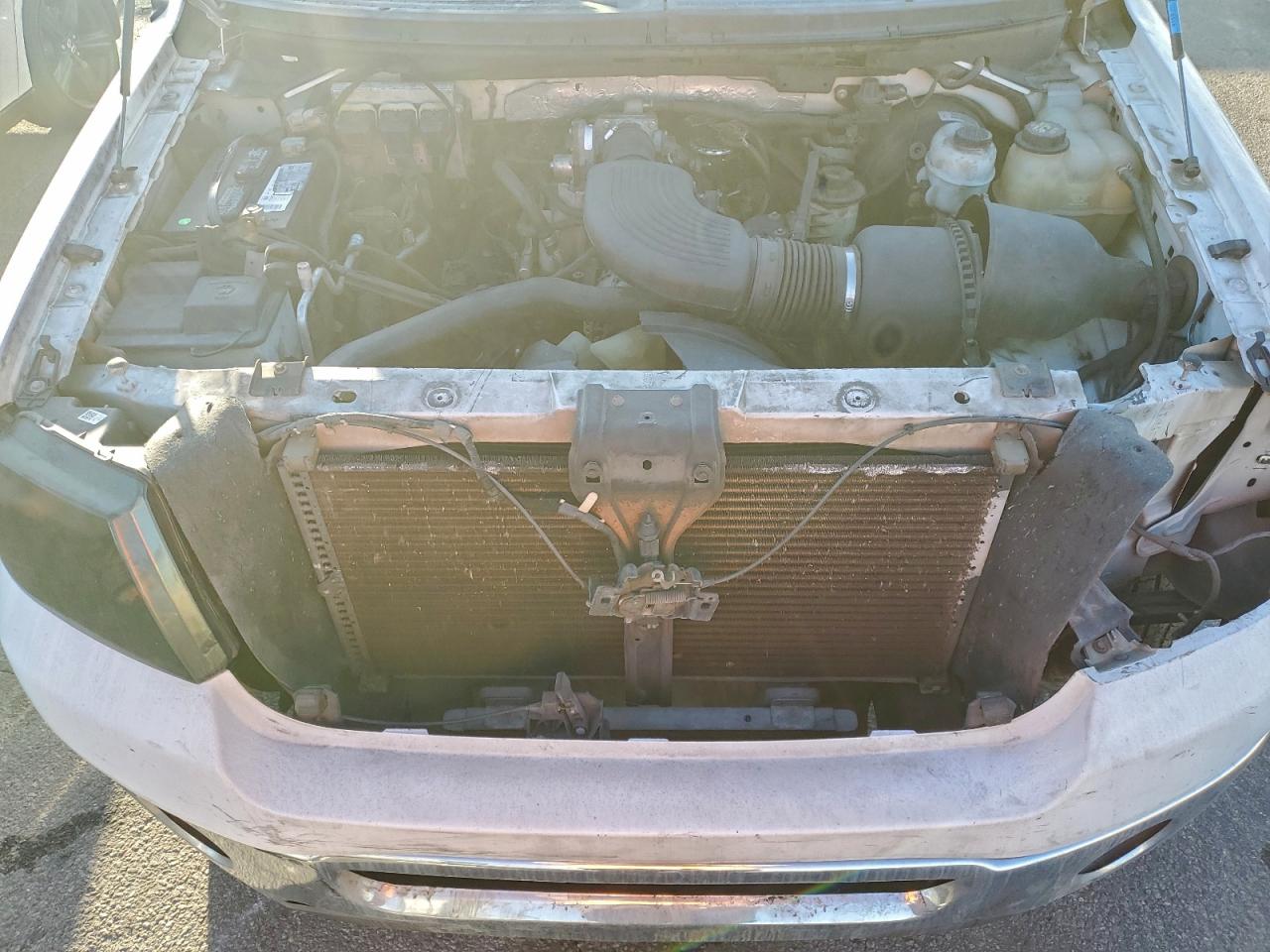 2006 FORD All Models