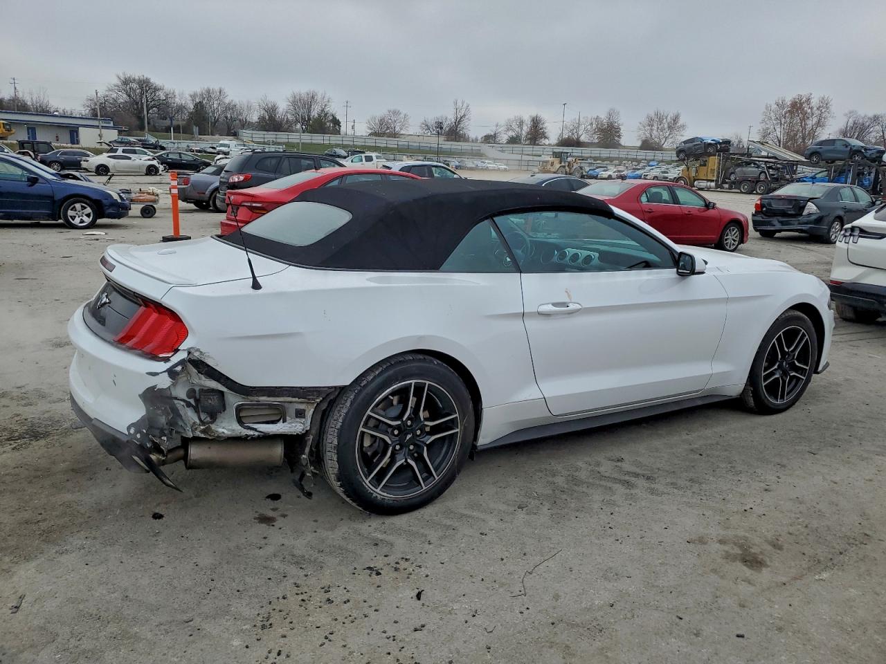 2023 FORD ALL Models