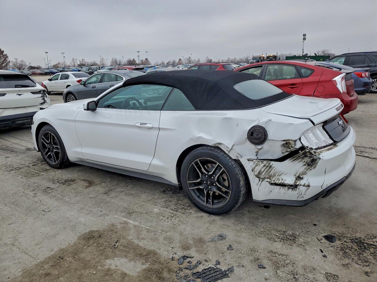 2023 FORD ALL Models