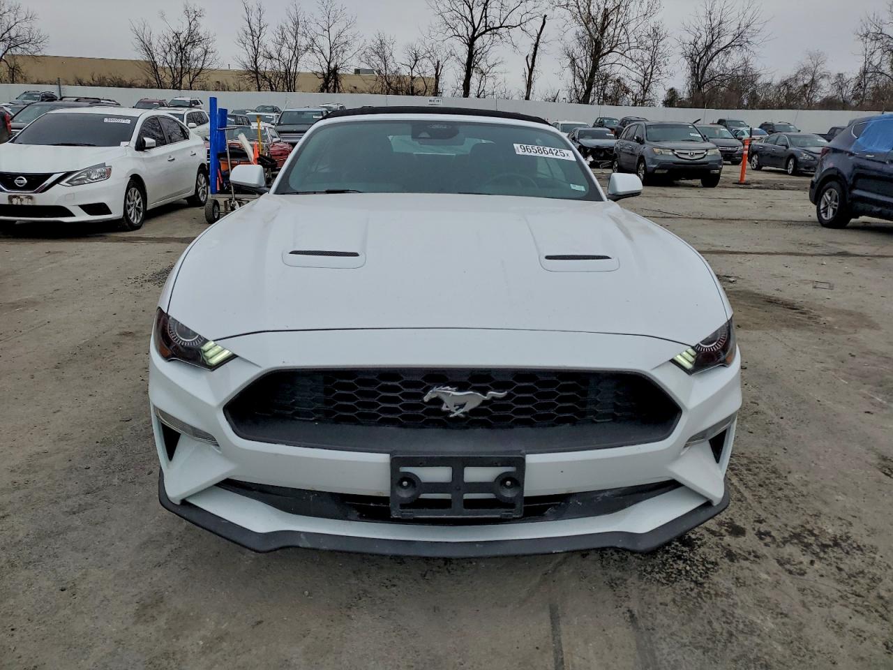 2023 FORD ALL Models