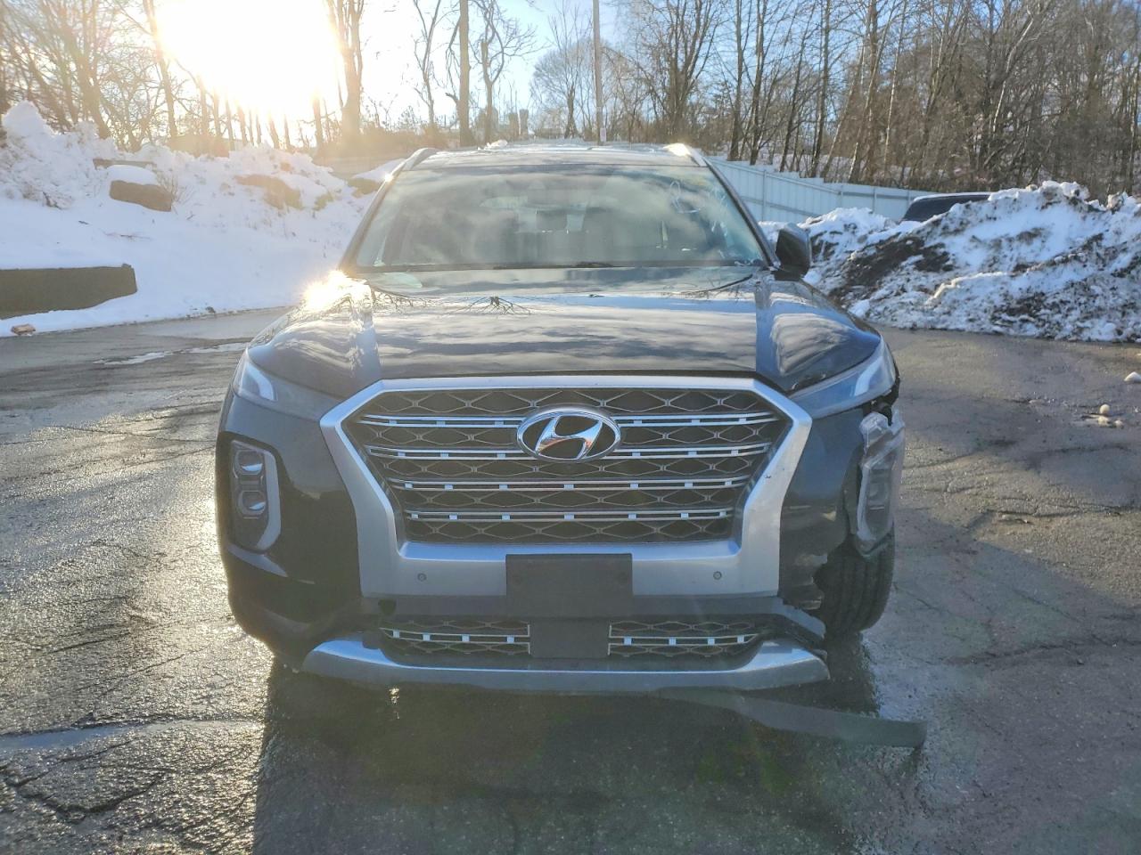 2020 HYUNDAI PALISADE