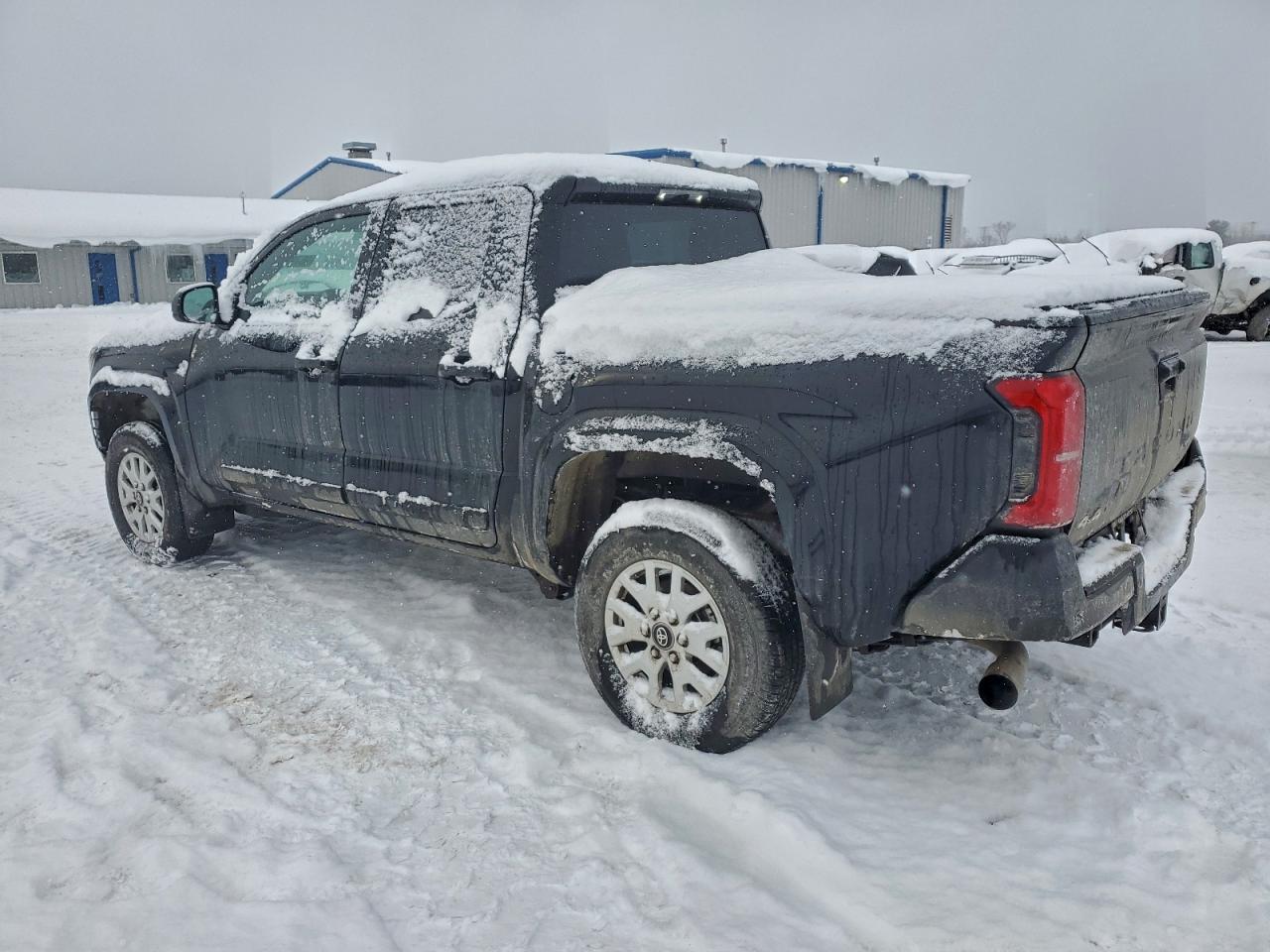 2025 TOYOTA TACOMA