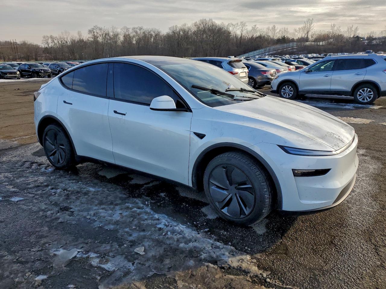 2026 TESLA MODEL Y