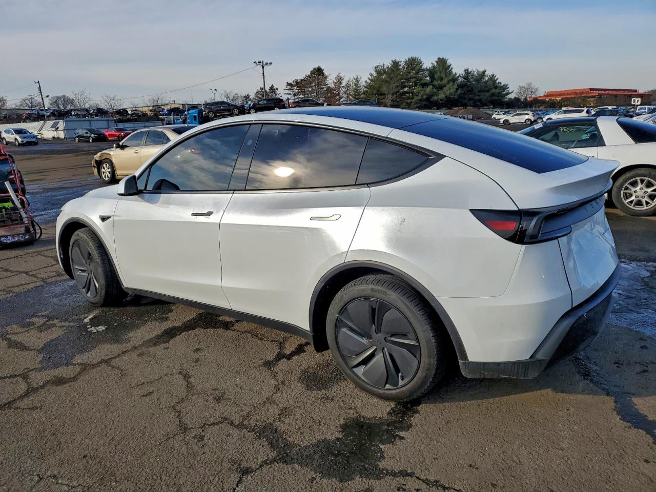 2026 TESLA MODEL Y