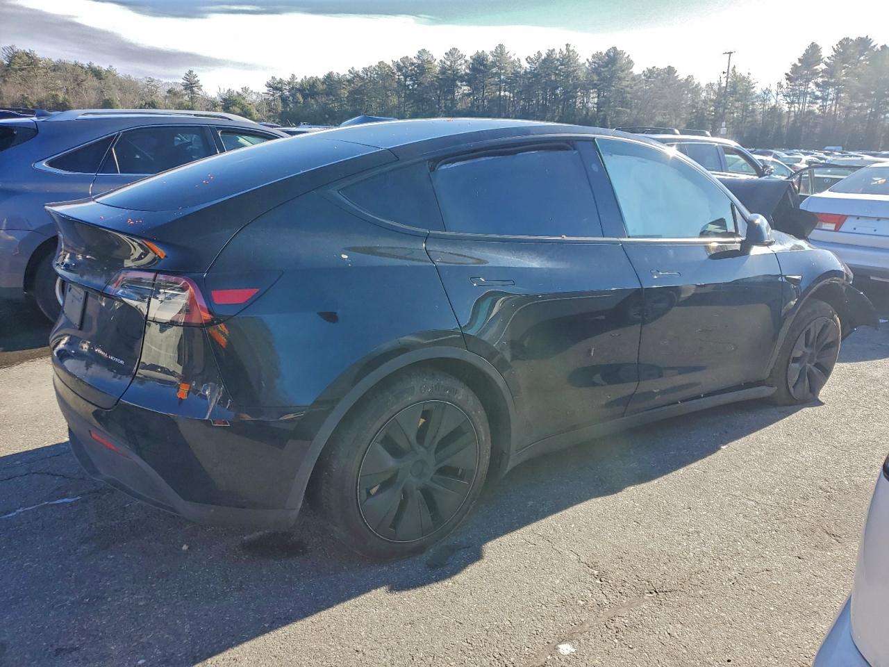 2025 TESLA MODEL Y