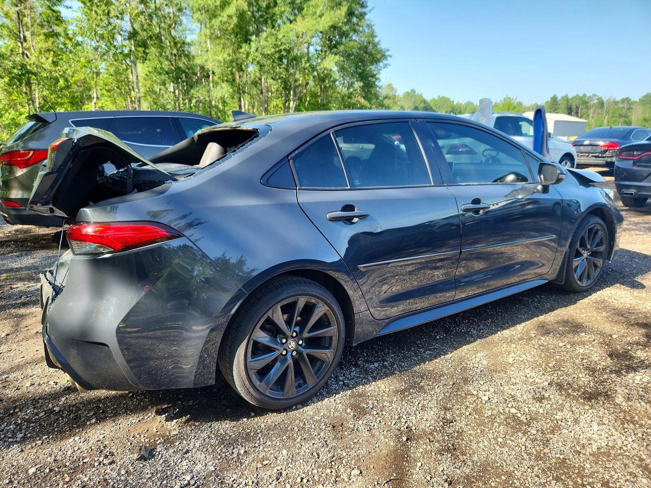 2023 TOYOTA COROLLA
