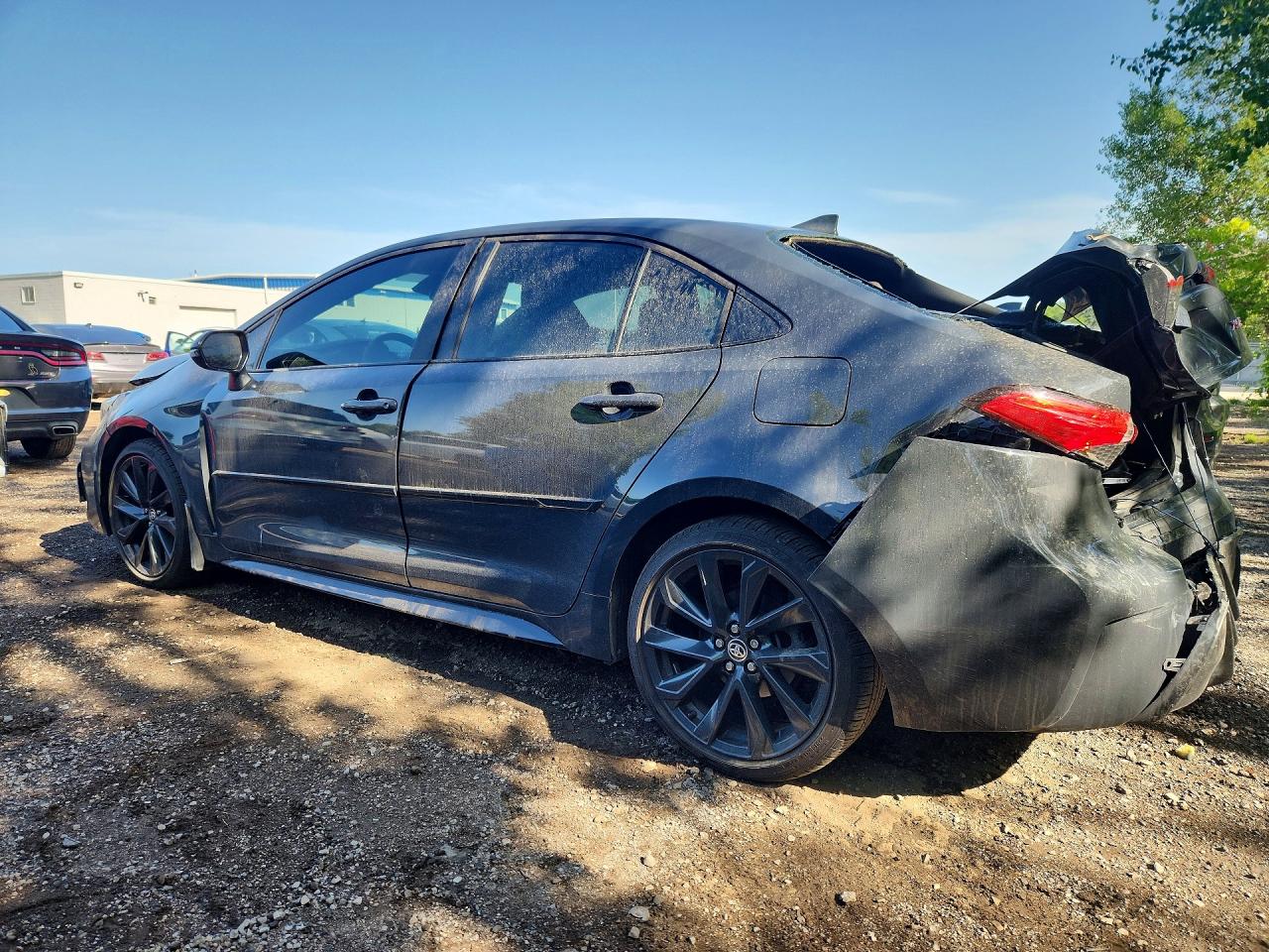 2023 TOYOTA COROLLA