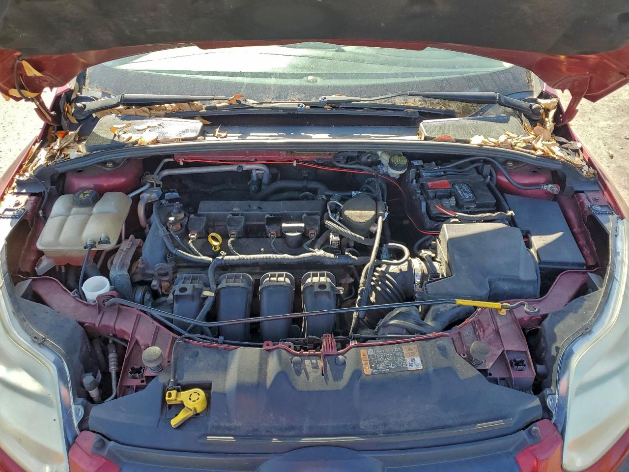 2014 FORD FOCUS