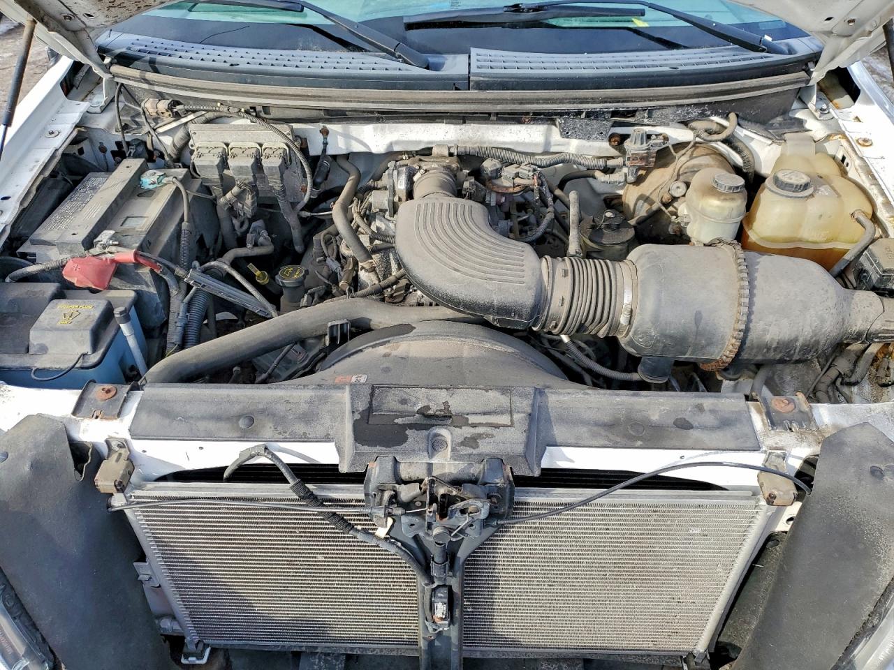 2006 FORD All Models