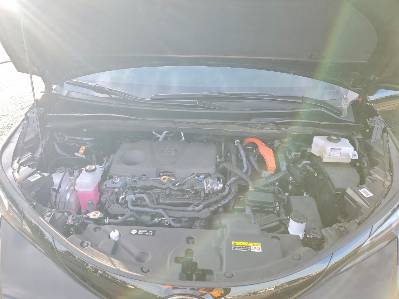2025 TOYOTA SIENNA