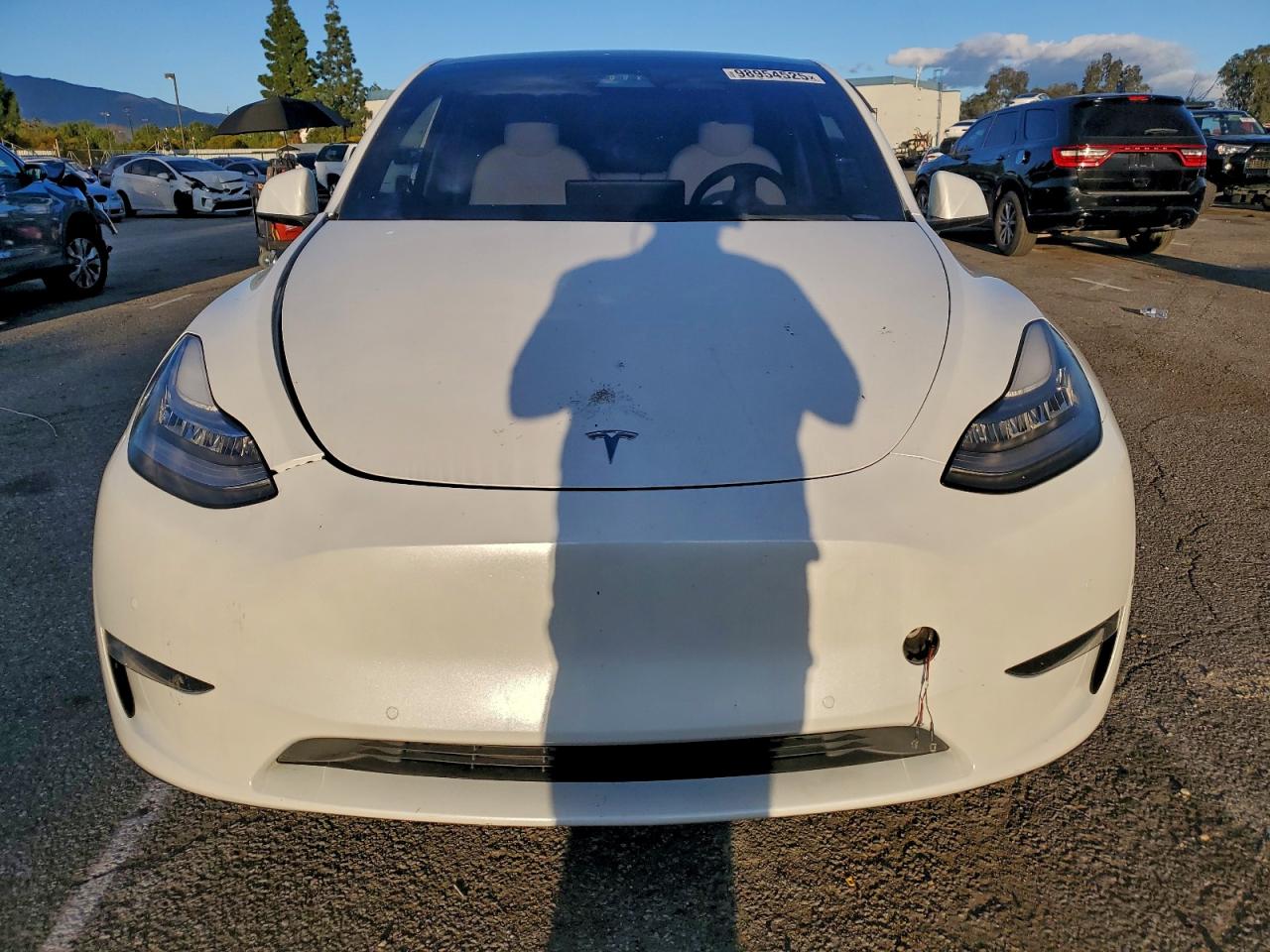 2021 TESLA MODEL Y