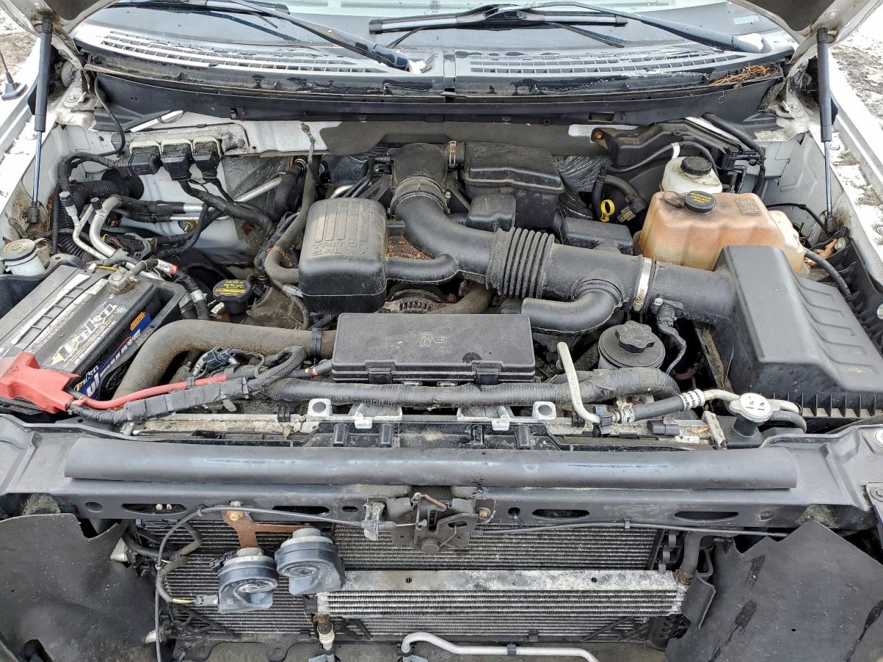 2010 FORD F-150