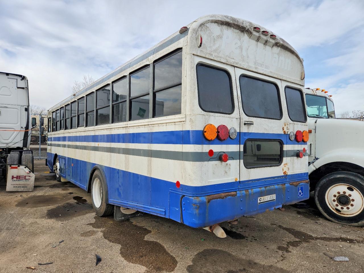 2014 BLUE BIRD ALL MODELS